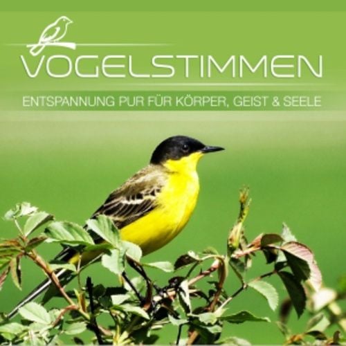 Produktbild: Vogelstimmen-Entspannung f&uuml;r