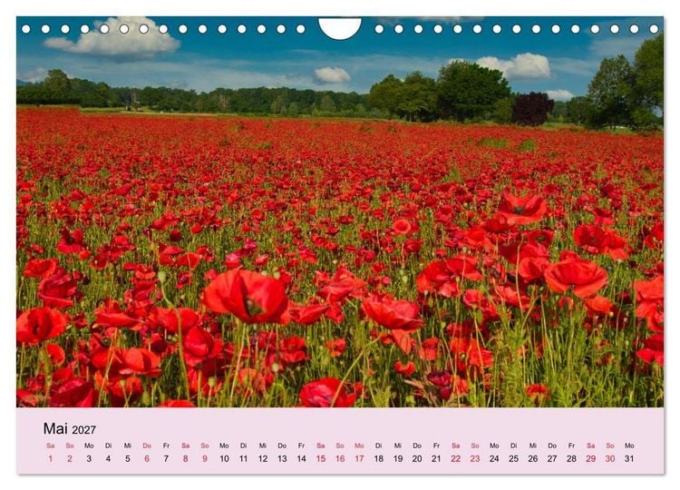 Produktbild: Augenblicke im Kaiserstuhl (Wandkalender 2027 DIN A4 quer), CALVENDO Monatskalender