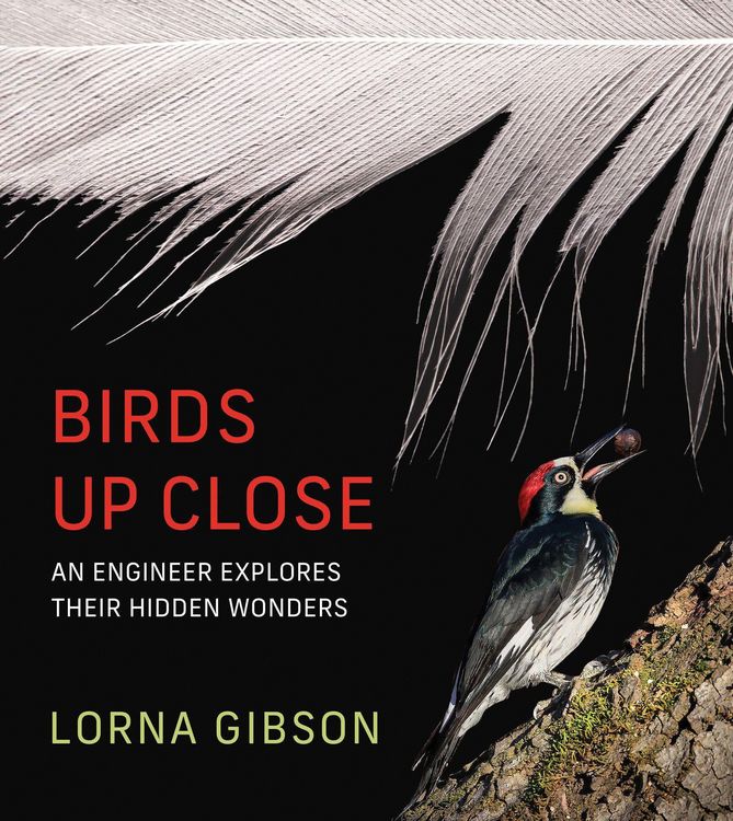 Produktbild: Birds Up Close