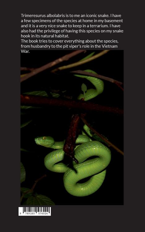 Produktbild: White-lipped pit viper