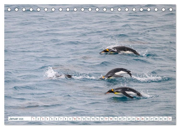 Produktbild: S&uuml;dgeorgien - Abgelegenes Naturparadies (Tischkalender 2026 DIN A5 quer), CALVENDO Monatskalender