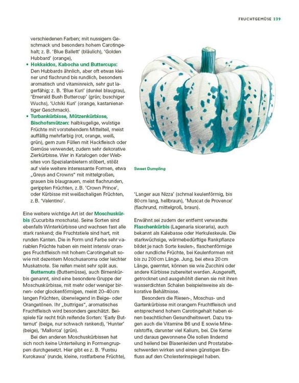 Produktbild: Das gro&szlig;e Gem&uuml;se- und Obstgartenbuch