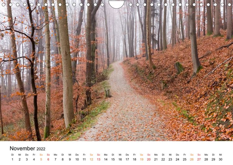 Produktbild: Amperland - Ansichten vor den Toren M&uuml;nchens (Wandkalender 2022 DIN A4 quer)