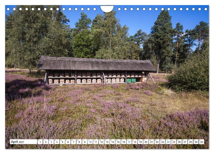 Produktbild: L&uuml;neburger Heide &ndash; Im Wandel der Jahreszeiten (Wandkalender 2027 DIN A4 quer), CALVENDO Monatskalender