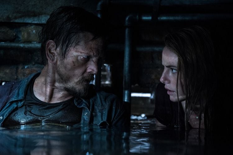 Produktbild: Crawl