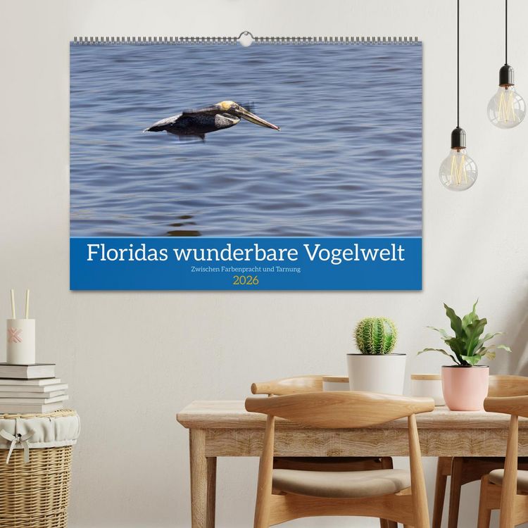 Produktbild: Floridas wunderbare Vogelwelt (Wandkalender 2026 DIN A2 quer), CALVENDO Monatskalender