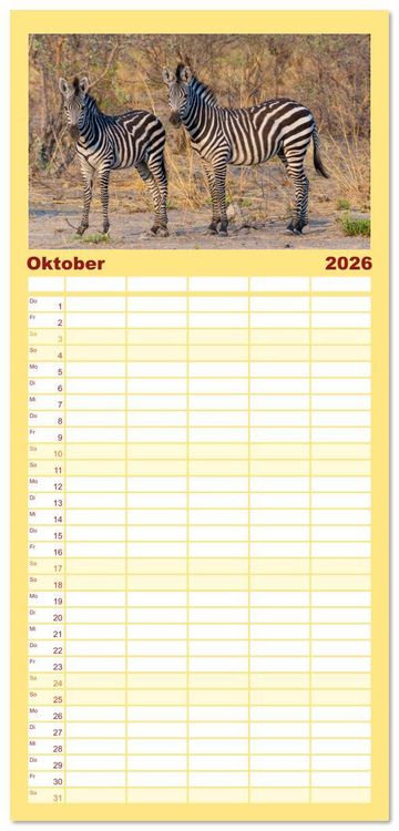 Produktbild: Familienplaner 2026 - Zebras in Afrika mit 5 Spalten (Wandkalender, 21 x 45 cm) CALVENDO