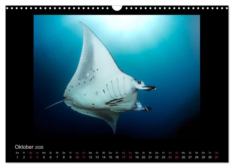 Produktbild: Ocean-Art / CH-Version (Wandkalender 2026 DIN A3 quer), CALVENDO Monatskalender