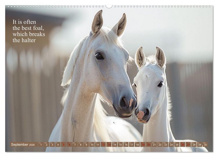 Produktbild: A Horse Makes You Complete (High Quality Premium Wall Calendar 2026 DIN A2 landscape),CALVENDO 12 Month Wall Calendar
