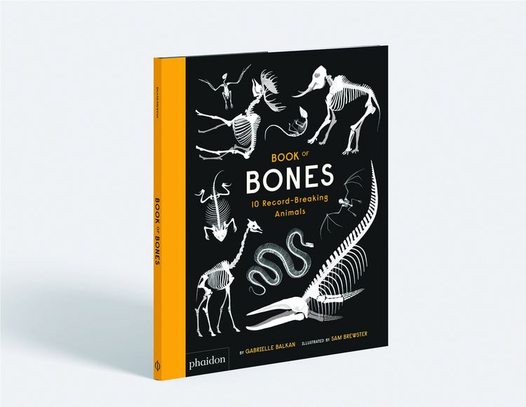 Produktbild: Book of Bones