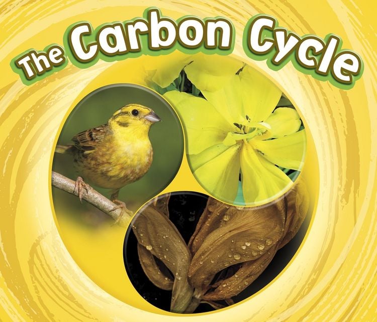 Produktbild: Carbon Cycle