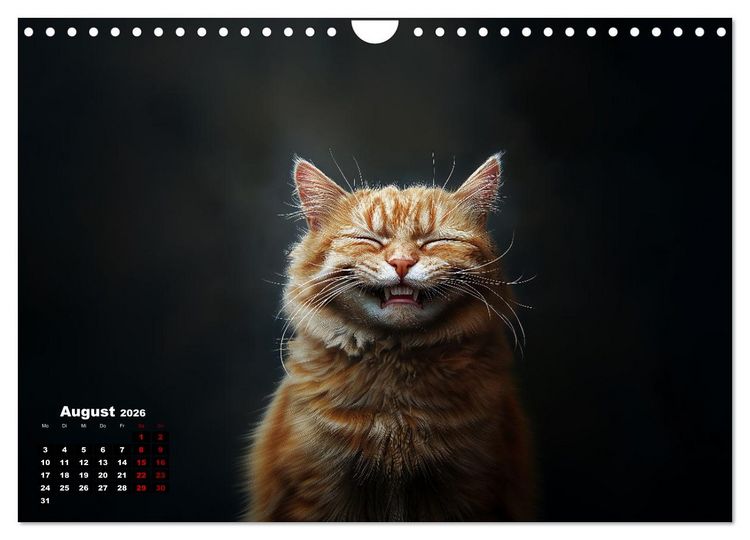 Produktbild: Auch Katzen lachen gern (Wandkalender 2026 DIN A4 quer), CALVENDO Monatskalender