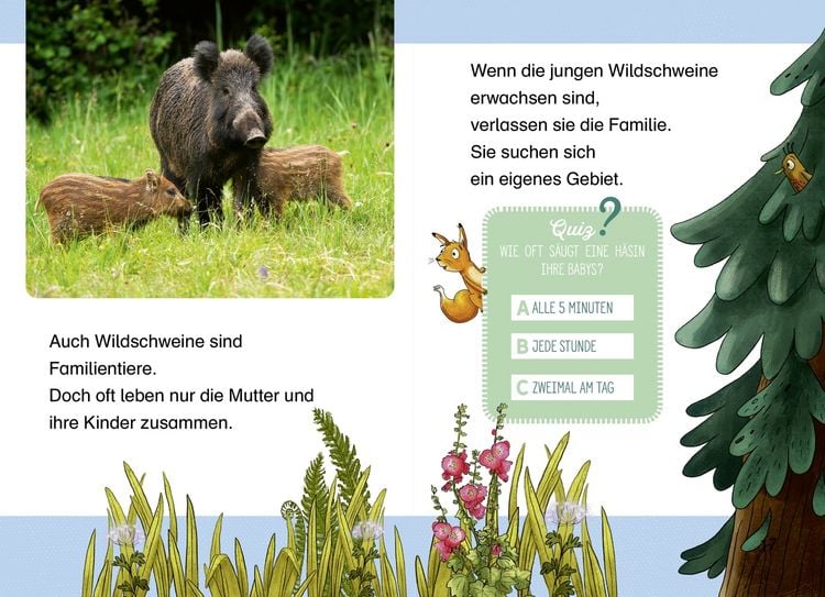 Produktbild: Komm mit uns in den Wald