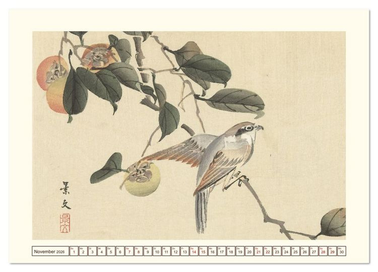 Produktbild: Bl&uuml;te und Feder (Wandkalender 2026 DIN A2 quer), CALVENDO Monatskalender