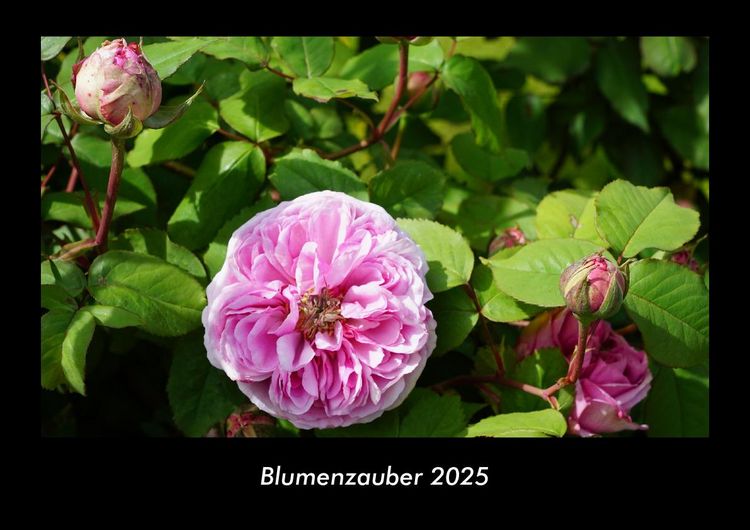 Produktbild: Blumenzauber 2025 Fotokalender DIN A3