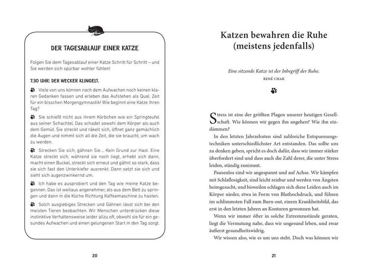 Produktbild: Katzenweisheit