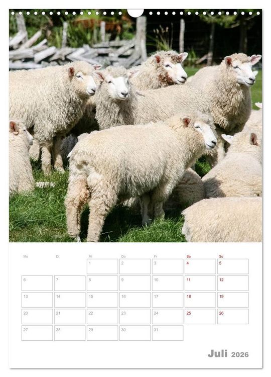 Produktbild: Kalenderplaner g'day Neuseeland 2026 (Wandkalender 2026 DIN A3 hoch), CALVENDO Monatskalender
