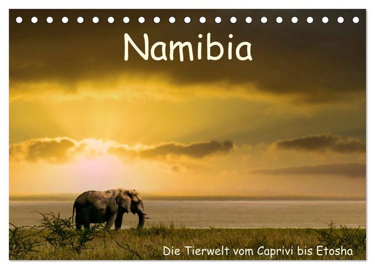 Produktbild: Namibia &ndash; Die Tierwelt vom Caprivi bis Etosha (Tischkalender 2026 DIN A5 quer), CALVENDO Monatskalender