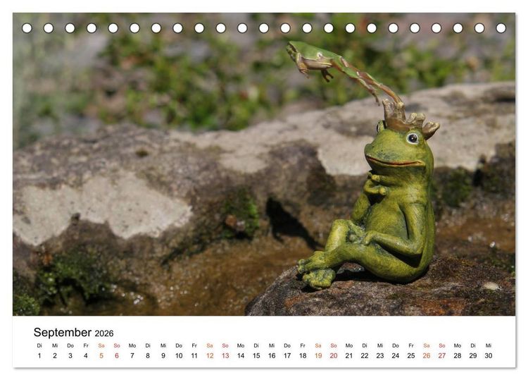 Produktbild: Besucher im Garten - Laubfr&ouml;sche (Tischkalender 2026 DIN A5 quer), CALVENDO Monatskalender