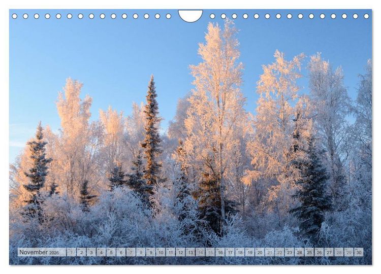 Produktbild: Wildes Alaska Christian Heeb (Wandkalender 2026 DIN A4 quer), CALVENDO Monatskalender