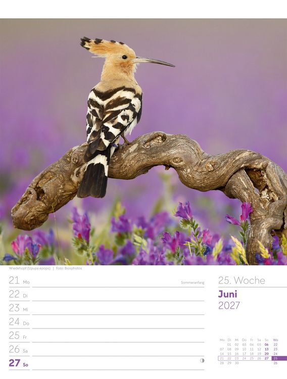 Produktbild: V&ouml;gel Wochenplaner Kalender 2027