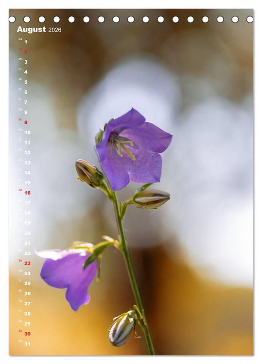 Produktbild: Colors of Nature (Tischkalender 2026 DIN A5 hoch), CALVENDO Monatskalender