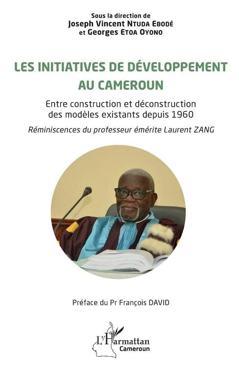 Produktbild: Les initiatives de d&eacute;veloppement au Cameroun
