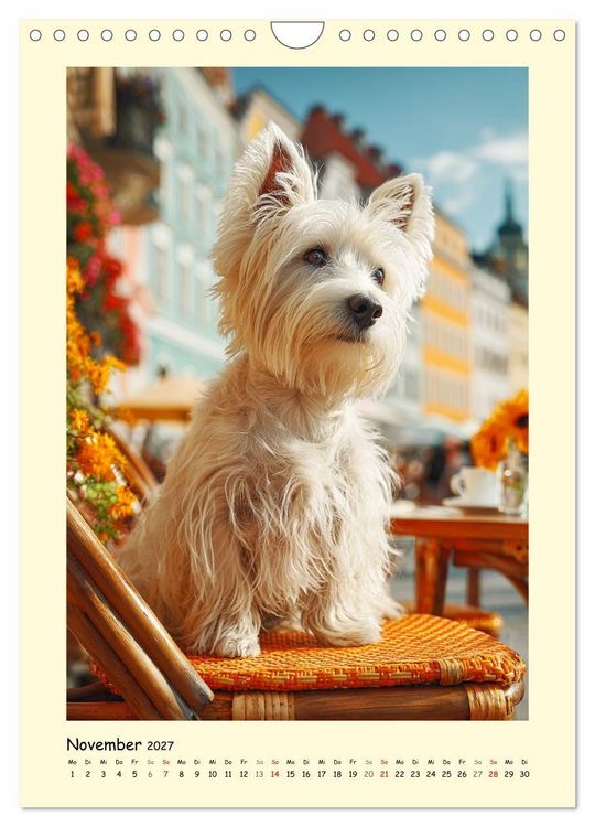 Produktbild: S&uuml;&szlig;er Wuschelkopf. West Highland White Terrier Momente (Wandkalender 2027 DIN A4 hoch), CALVENDO Monatskalender