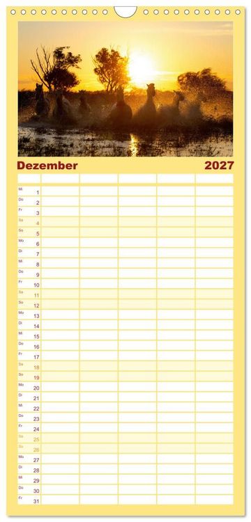 Produktbild: Familienplaner 2027 - Die wei&szlig;en Pferde der Camargue mit 5 Spalten (Wandkalender, 21 x 45 cm) CALVENDO