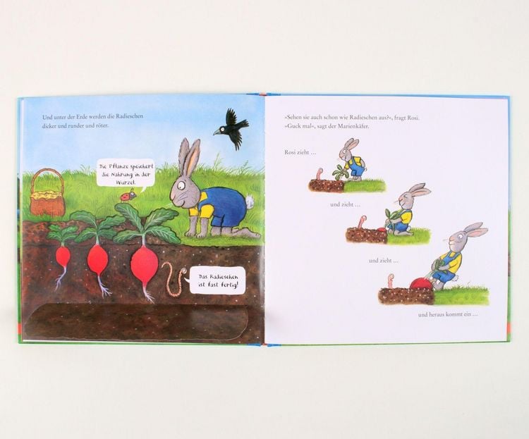 Produktbild: Rosi pflanzt Radieschen