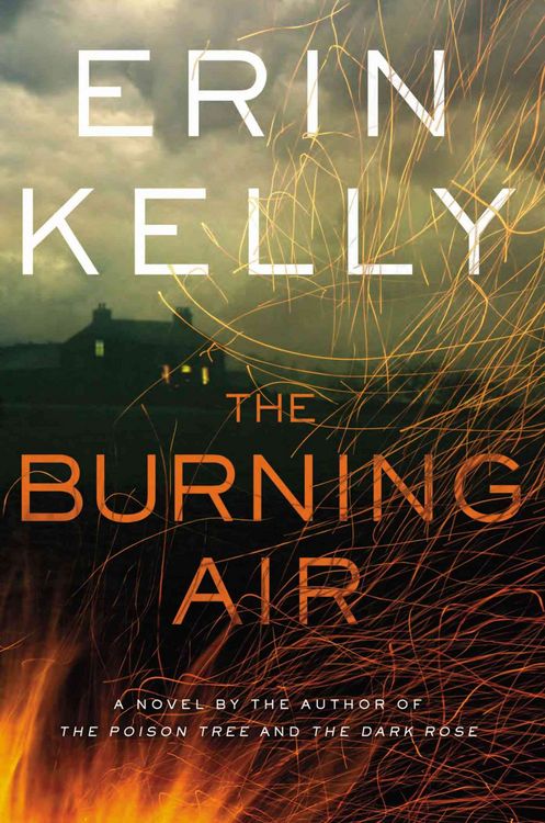 Produktbild: The Burning Air