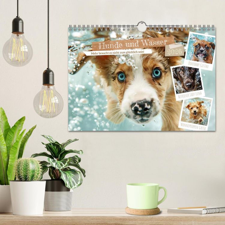 Produktbild: Hunde und Wasser (Wandkalender 2026 DIN A4 quer), CALVENDO Monatskalender