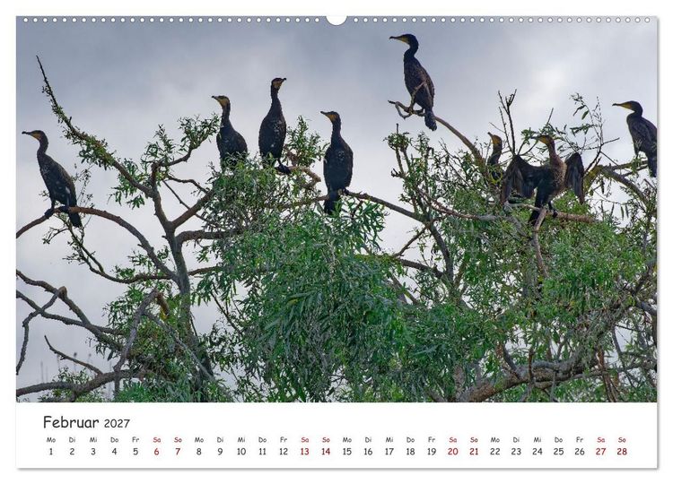Produktbild: Donau-Delta (hochwertiger Premium Wandkalender 2027 DIN A2 quer), Kunstdruck in Hochglanz