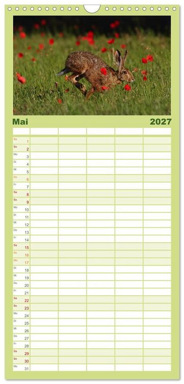 Produktbild: Familienplaner 2027 - Feldhasen in H&ouml;chstform mit 5 Spalten (Wandkalender, 21 x 45 cm) CALVENDO