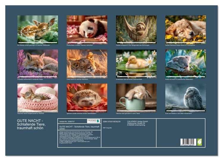 Produktbild: GUTE NACHT - Schlafende Tiere, traumhaft sch&ouml;n (Wandkalender 2026 DIN A2 quer), CALVENDO Monatskalender