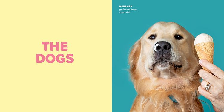 Produktbild: Dogs vs. Ice Cream