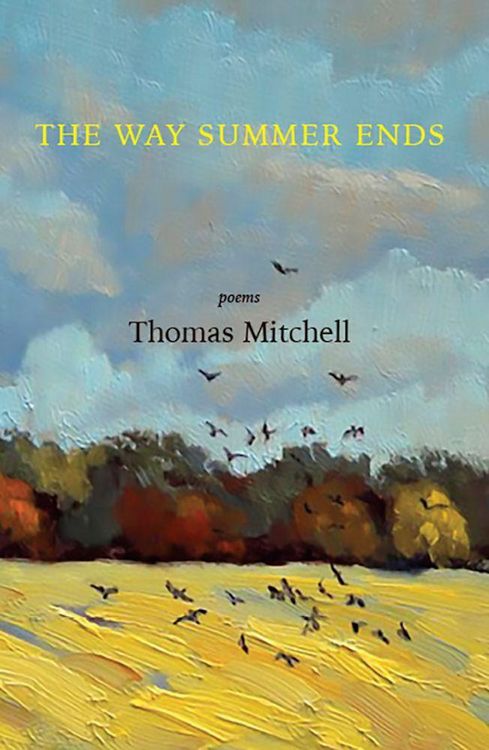 Produktbild: The Way Summer Ends