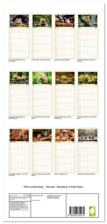 Produktbild: Familienplaner 2026 - Wild und flauschig - Hamster - Abenteuer in freier Natur mit 5 Spalten (Wandkalender, 21 x 45 cm) CALVENDO