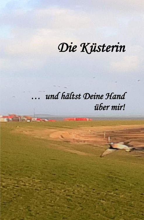 Produktbild: Die K&uuml;sterin...