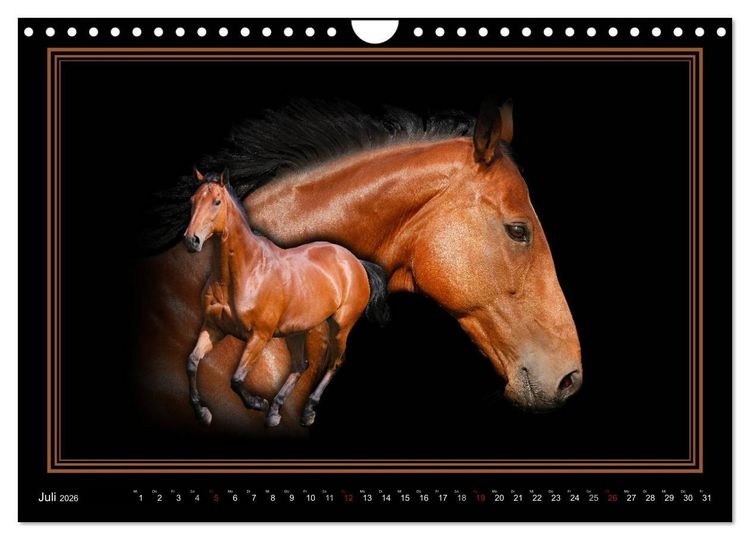 Produktbild: Traumpferde-ART-Collection (Wandkalender 2026 DIN A4 quer), CALVENDO Monatskalender