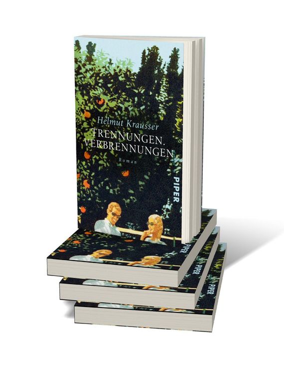 Produktbild: Trennungen. Verbrennungen