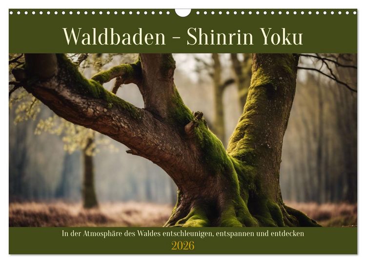 Produktbild: Waldbaden - Shinrin Yoku (Wandkalender 2026 DIN A3 quer), CALVENDO Monatskalender