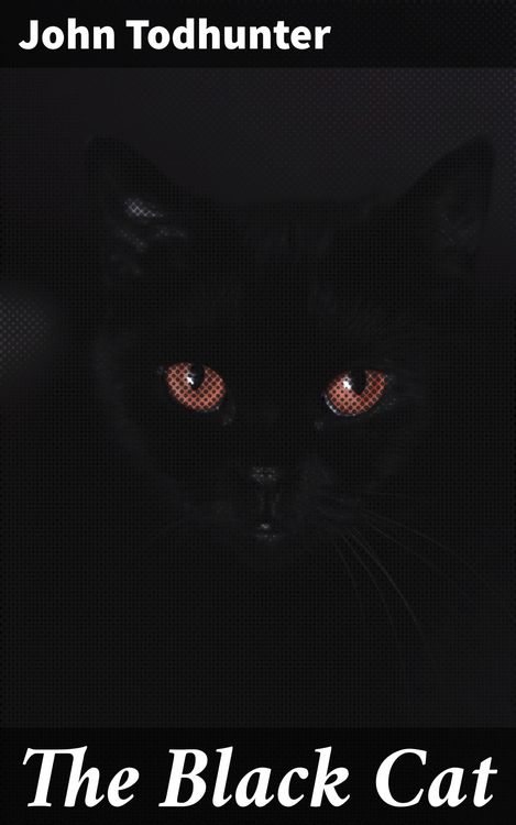 Produktbild: The Black Cat