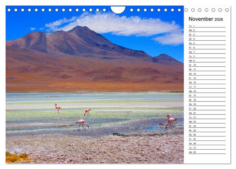 Produktbild: Mein Flamingo Planer (Wandkalender 2026 DIN A4 quer), CALVENDO Monatskalender