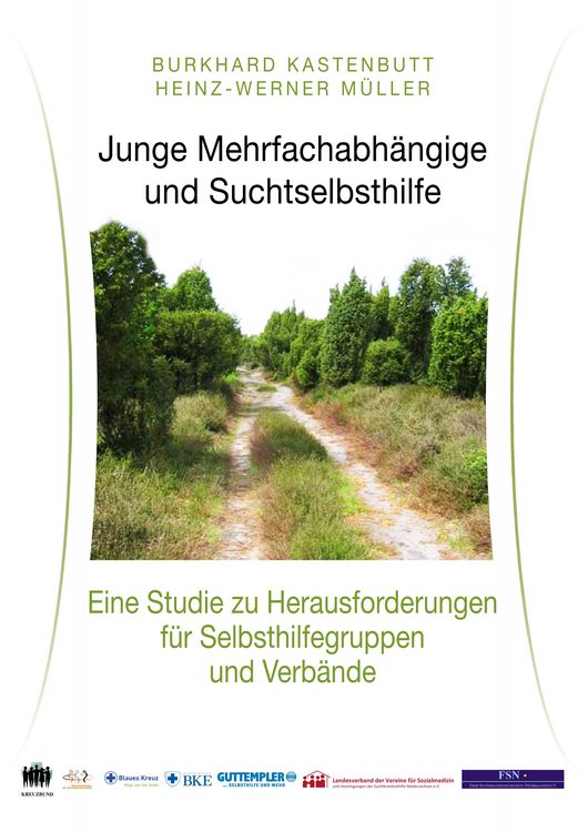 Produktbild: Junge Mehrfachabh&auml;ngige und Suchtselbsthilfe