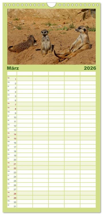 Produktbild: Familienplaner 2026 - Erdm&auml;nnchen mit 5 Spalten (Wandkalender, 21 x 45 cm) CALVENDO
