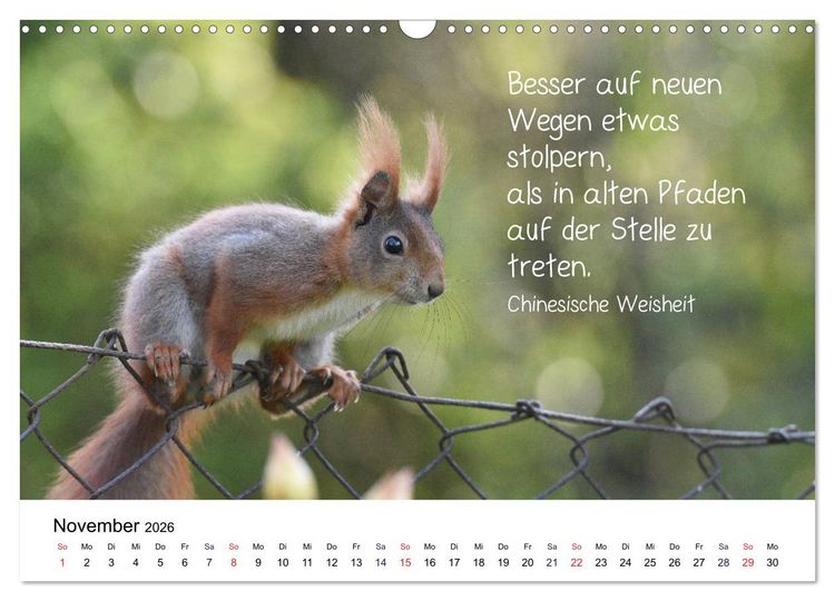 Produktbild: Der literarische Eichh&ouml;rnchen-Kalender (Wandkalender 2026 DIN A3 quer), CALVENDO Monatskalender