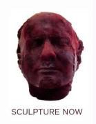 Produktbild: Wood, J: Sculpture Now