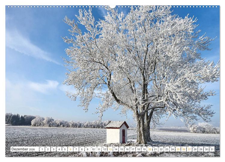 Produktbild: B&auml;ume im Altm&uuml;hltal (Wandkalender 2026 DIN A2 quer), CALVENDO Monatskalender