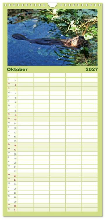 Produktbild: Familienplaner 2027 - Das Leben der Biber mit 5 Spalten (Wandkalender, 21 x 45 cm) CALVENDO